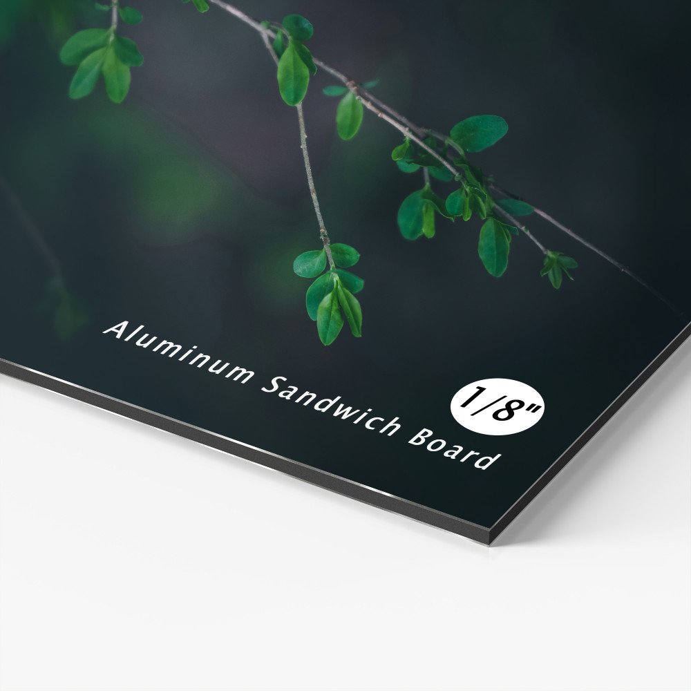 Custom Flyer Design & Printing in Halifax, NS